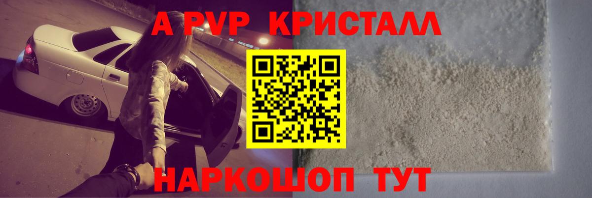 Альфа ПВП СК Курчалой
