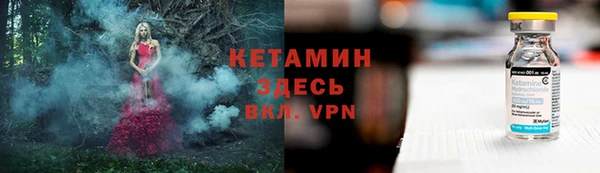 стаф Россошь