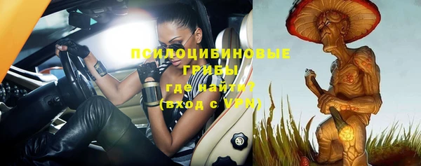 стаф Россошь