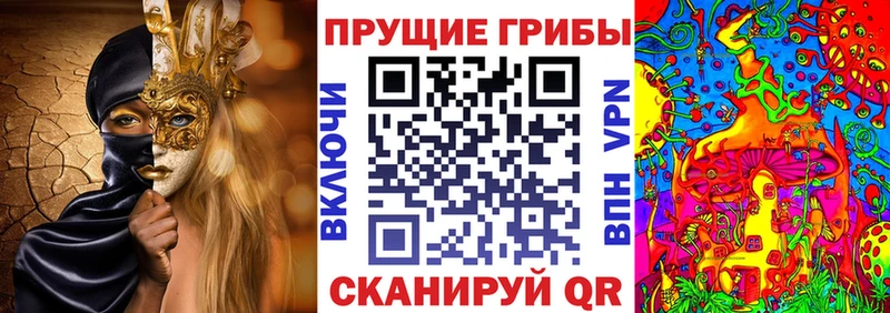Псилоцибиновые грибы MAGIC MUSHROOMS  магазин продажи   сайты даркнета клад  Курчалой 