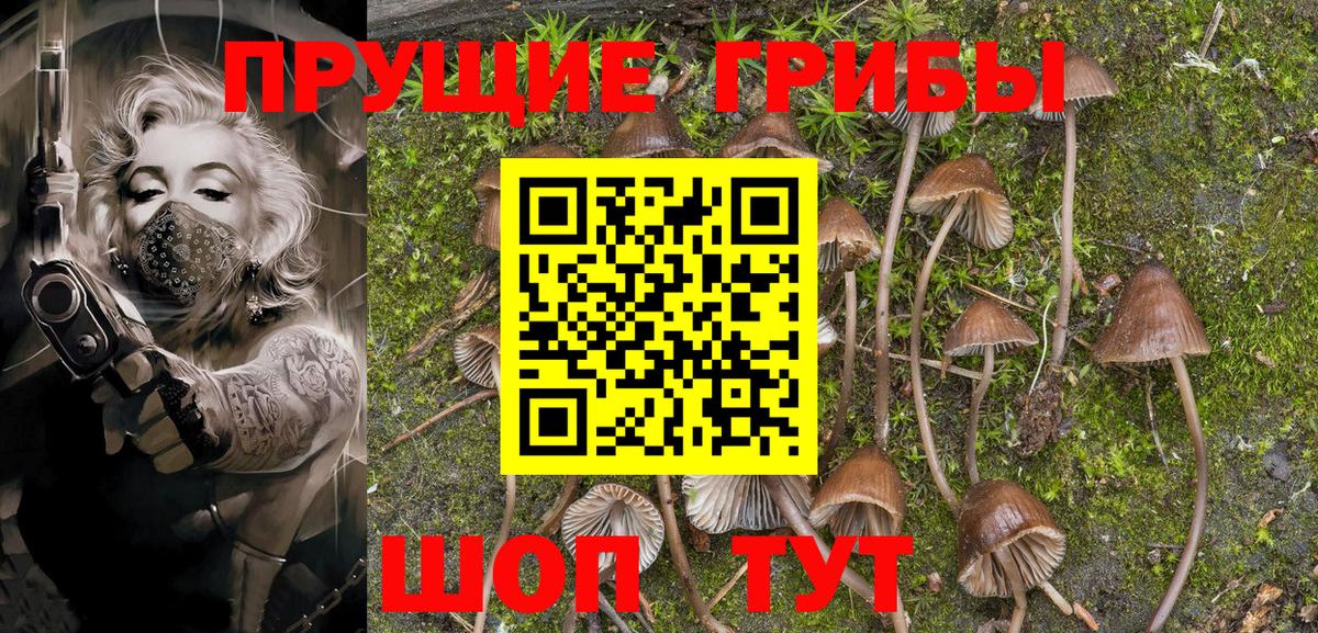 Псилоцибиновые грибы Magic Shrooms Курчалой
