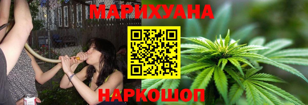 Каннабис сатива  Каннабис тримм  Вход с VPN  Курчалой 